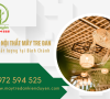 Xưởng chuyên sản xuất nội thất mây tre đan giá rẻ, chất lượng tại Bình Chánh