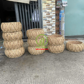 MÂY TRE ĐAN KD 023