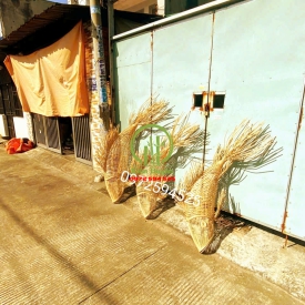 ĐÈN CON CÁ MÂY TRE ĐAN KD84